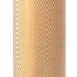 Filtro de aire - AF25336 - Fleetguard