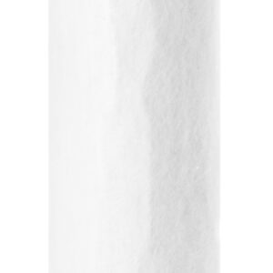 Filtro de aire - AF25434 - Fleetguard