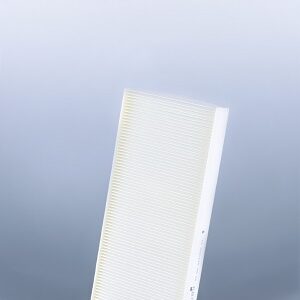 Filtro de aire - AF25630 - Fleetguard