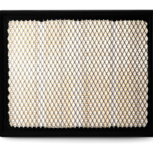 Filtro de aire - AF25636 - Fleetguard