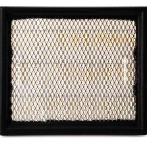 Filtro de aire - AF25684 - Fleetguard