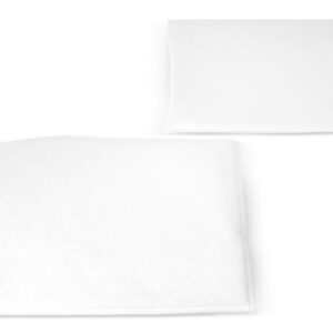 Filtro de aire - AF25954 - Fleetguard
