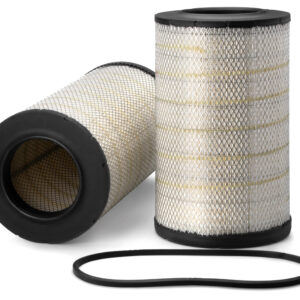 Filtro de aire - AF25955 - Fleetguard