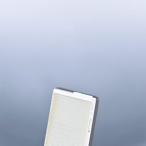 Filtro de aire - AF26145 - Fleetguard