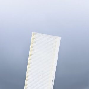 Filtro de aire - AF26231 - Fleetguard