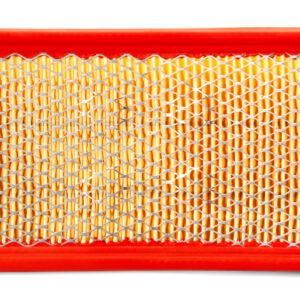 Filtro de aire - AF4339 - Fleetguard