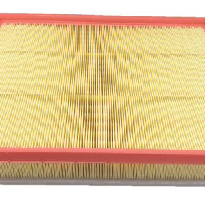 Filtro de aire - AF4368 - Fleetguard
