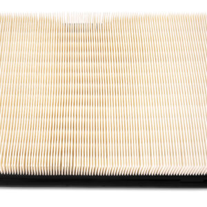 Filtro de aire - AF4613 - Fleetguard