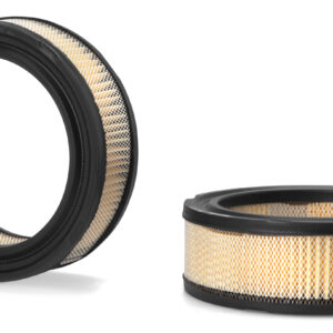 Filtro de aire - AF4929 - Fleetguard