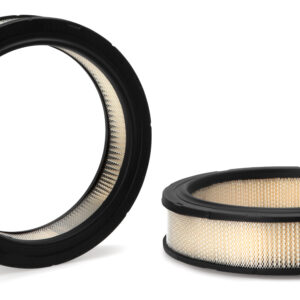 Filtro de aire - AF4952 - Fleetguard
