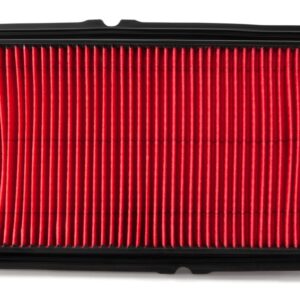 Filtro de aire - AF4954 - Fleetguard