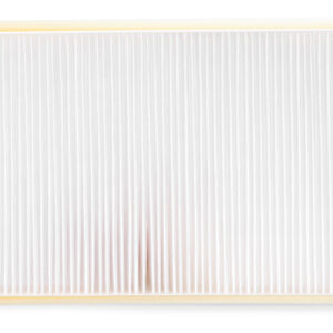 Filtro de aire - AF55711 - Fleetguard