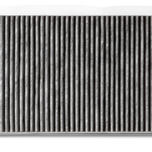 Filtro de aire - AF55719 - Fleetguard