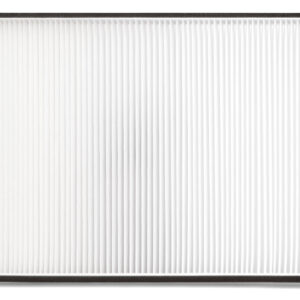 Filtro de aire - AF55735 - Fleetguard