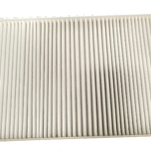 Filtro de aire - AF55748 - Fleetguard