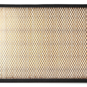 Filtro de aire - AF55787 - Fleetguard