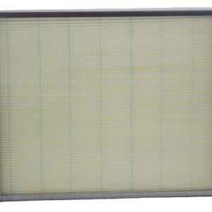 Filtro de aire - AF55788 - Fleetguard