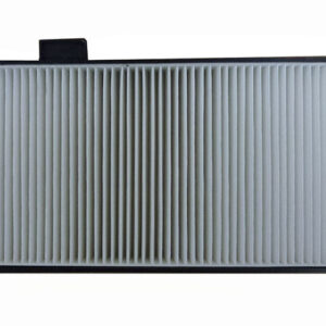Filtro de aire - AF55819 - Fleetguard