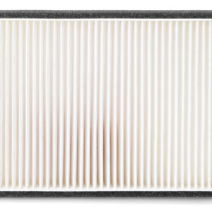 Filtro de aire - AF55829 - Fleetguard