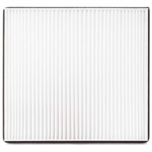 Filtro de aire - AF55854 - Fleetguard