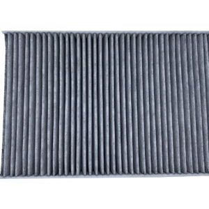 Filtro de aire - AF56030 - Fleetguard