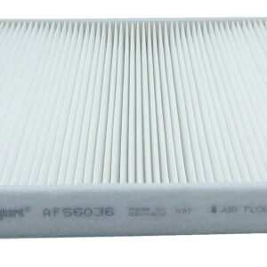 Filtro de aire - AF56036 - Fleetguard