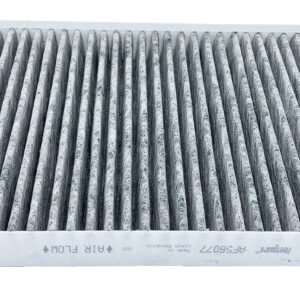 Filtro de aire - AF56077 - Fleetguard