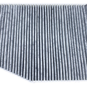 Filtro de aire - AF56096 - Fleetguard