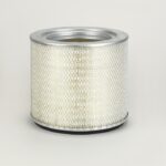 Filtro aire - P119595 - Donaldson