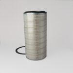 Filtro aire - P181009 - Donaldson