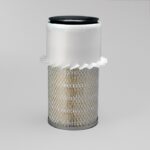 Filtro aire - P181054 - Donaldson