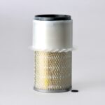 Filtro aire - P181093 - Donaldson