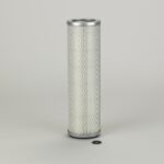 Filtro aire 2° - P526839 - Donaldson