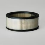 Filtro aire - P607255 - Donaldson