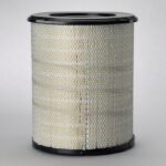 Filtro aire - P778779 - Donaldson