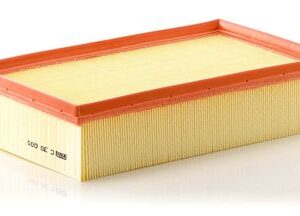 Filtro de aire - C30005 - Mann
