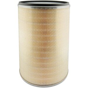 Filtro Aire D10 - PA2781 - Baldwin