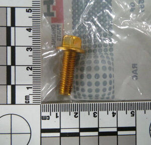 TORNILLO AUTOROSCANT - 87016557 - New Holland