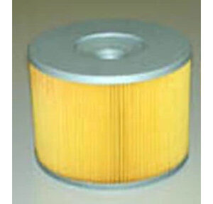 FILTRO DE AIRE - AF25567 - New Holland