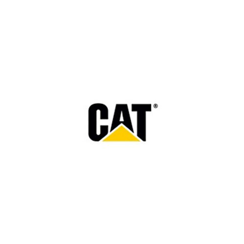 1T0290 Caterpillar Plato - 1T0290 - Caterpillar Alternativo - Imagen 1