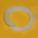 ANILLO - 1038252 - CAT Alternativo