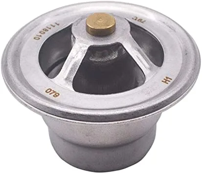 1118010 TERMOSTATO - 1118010 - CAT Alternativo - Imagen 1