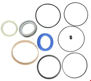 JUEGO REPARACION CILINDRO HIDRAULICO - 1198322 - CAT Alternativo