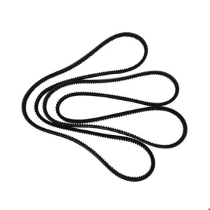 JUEGO CORREAS - 1274767 - CAT Alternativo