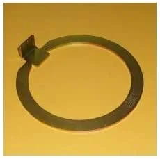 ANILLO - 1356036 - CAT Alternativo