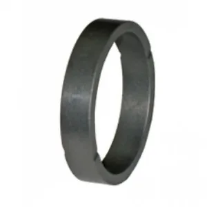 ANILLO - 1528071 - CAT Alternativo