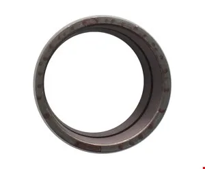 BUJE - 1633753 - CAT Alternativo