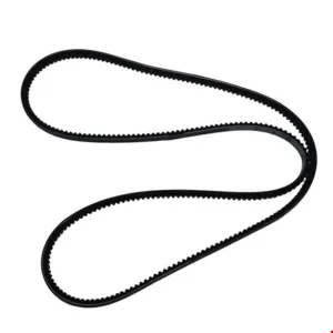 CORREA - 1663351 - CAT Alternativo