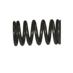 RESORTE - 1906117 - CAT Alternativo