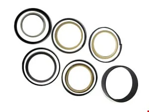 JUEGO REPARACION CILINDRO HIDRAULICO   - 1997416 - CAT Alternativo